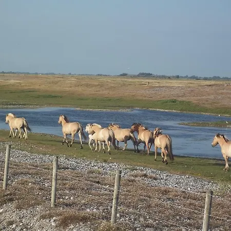 Paradis Les Galets De La Molliere 3*