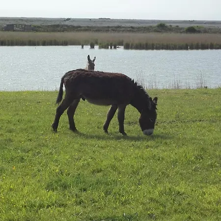 Paradis Les Galets De La Molliere 3*