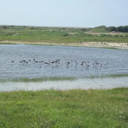 Campsite Paradis Les Galets De La Molliere 3*